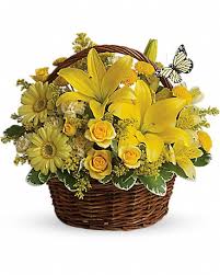 basket-yellow